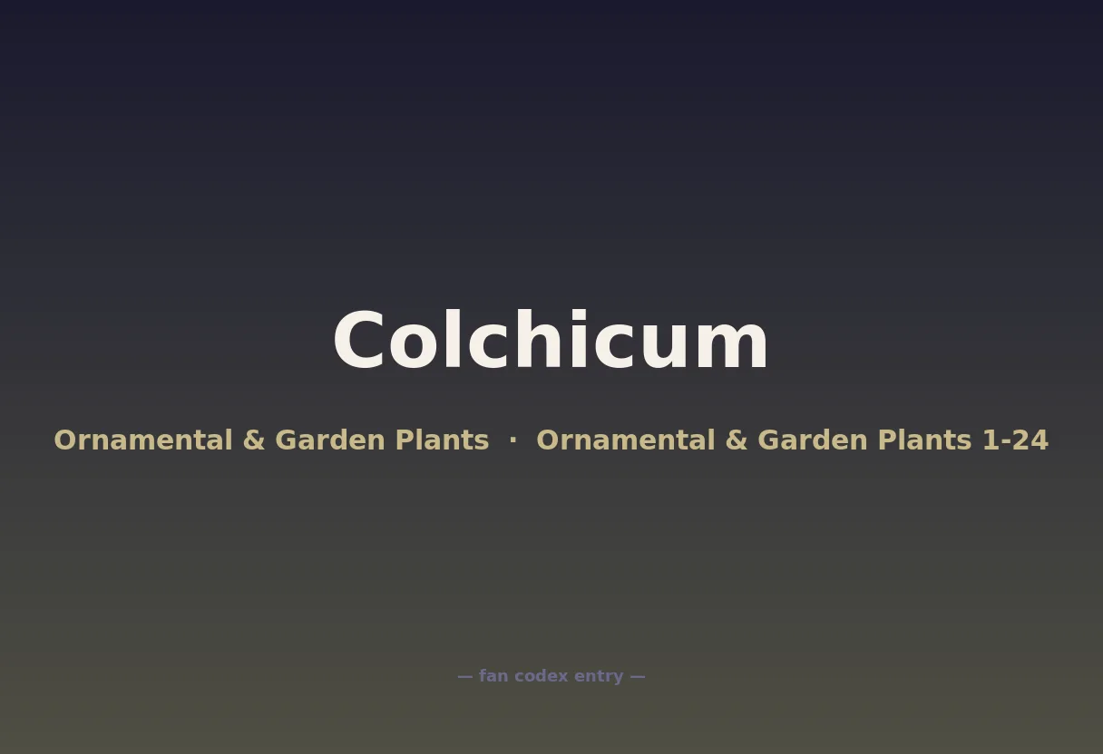 Colchicum