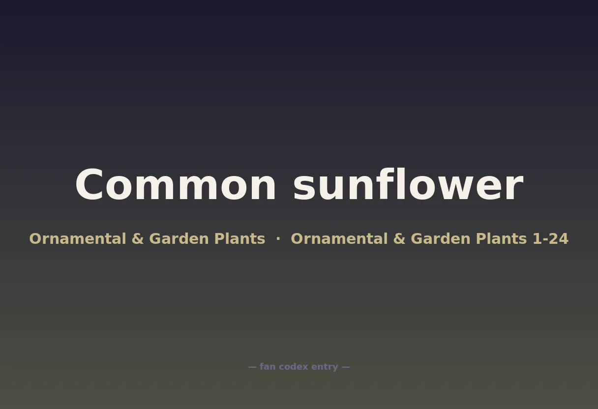 Common sunflower