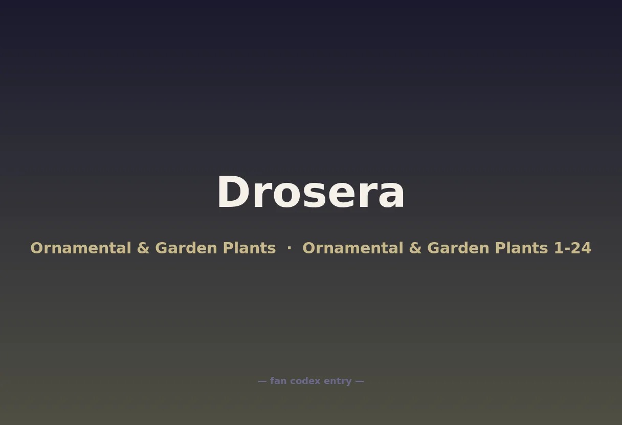Drosera