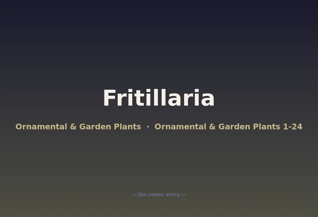 Fritillaria