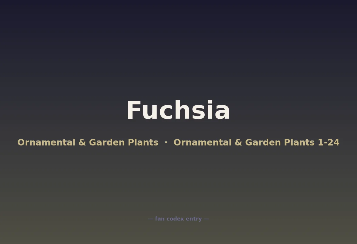 Fuchsia