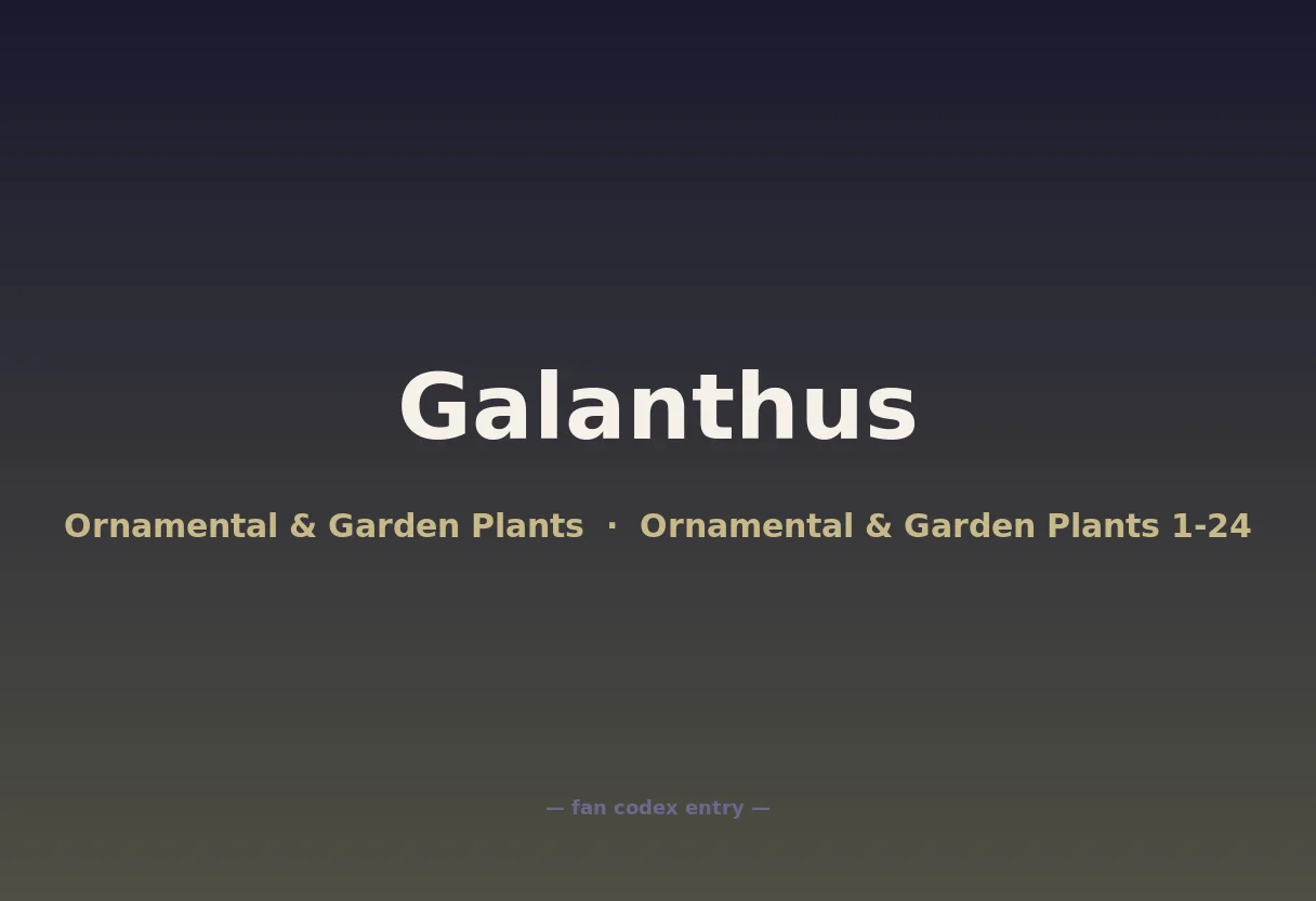 Galanthus