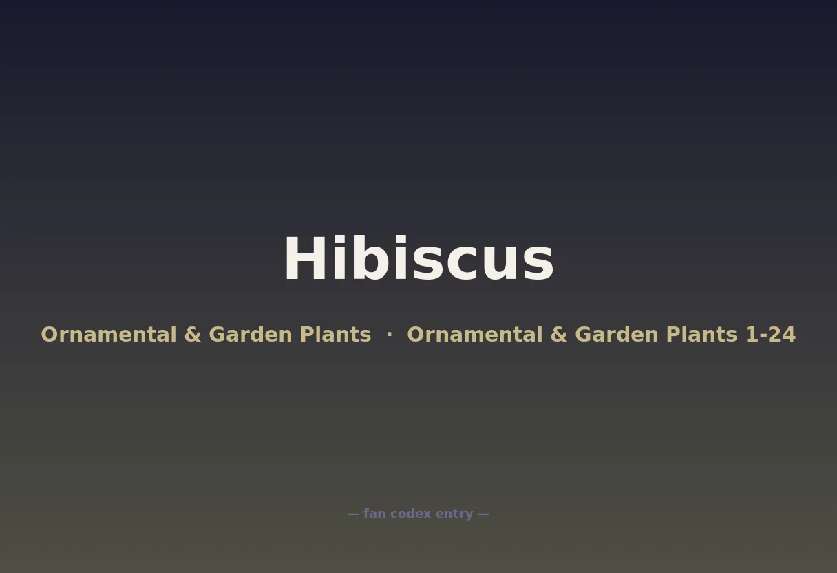 Hibiscus
