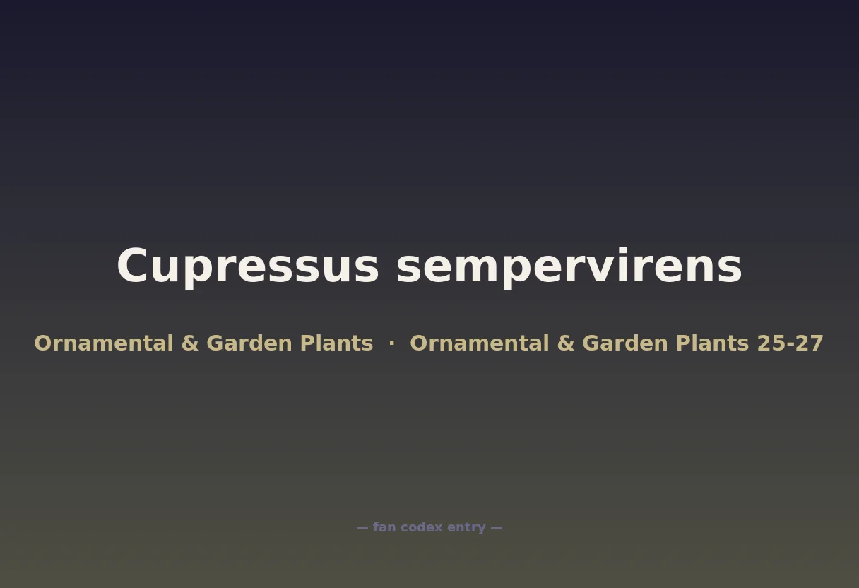 Cupressus sempervirens