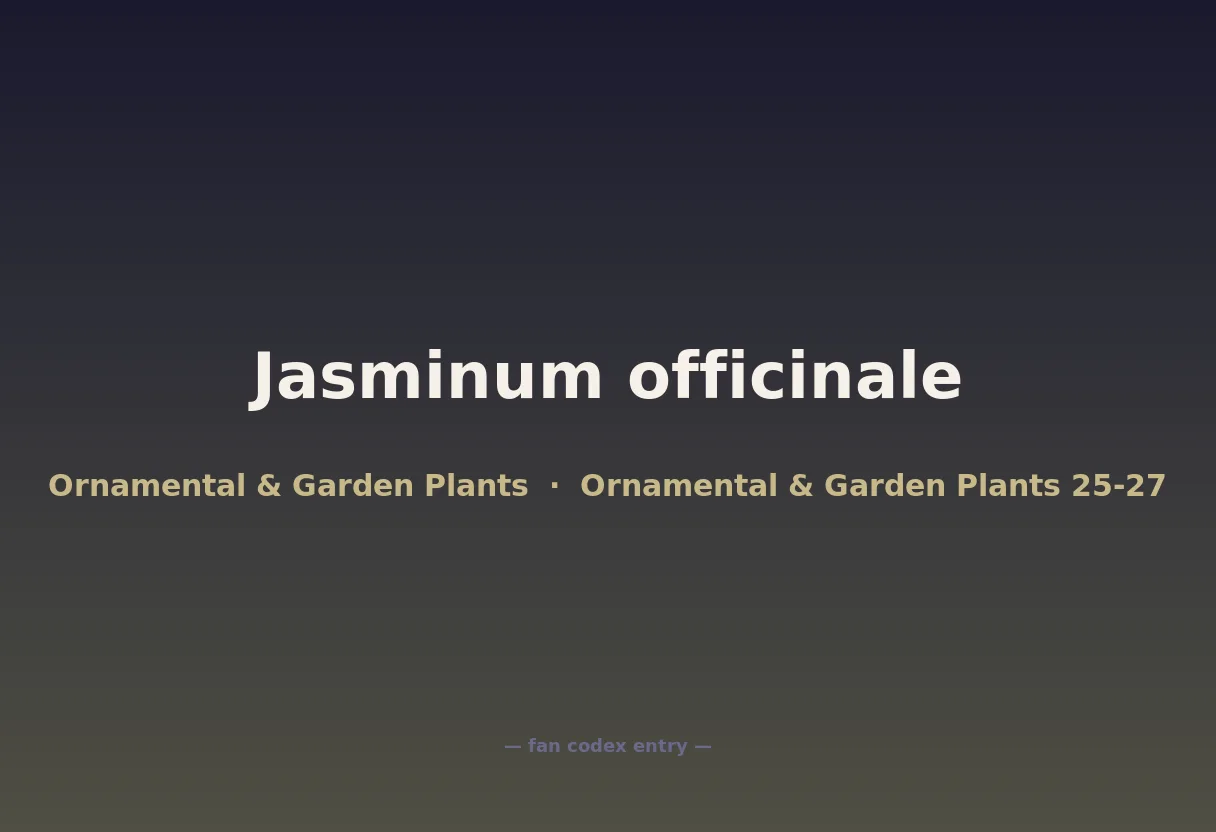 Jasminum officinale