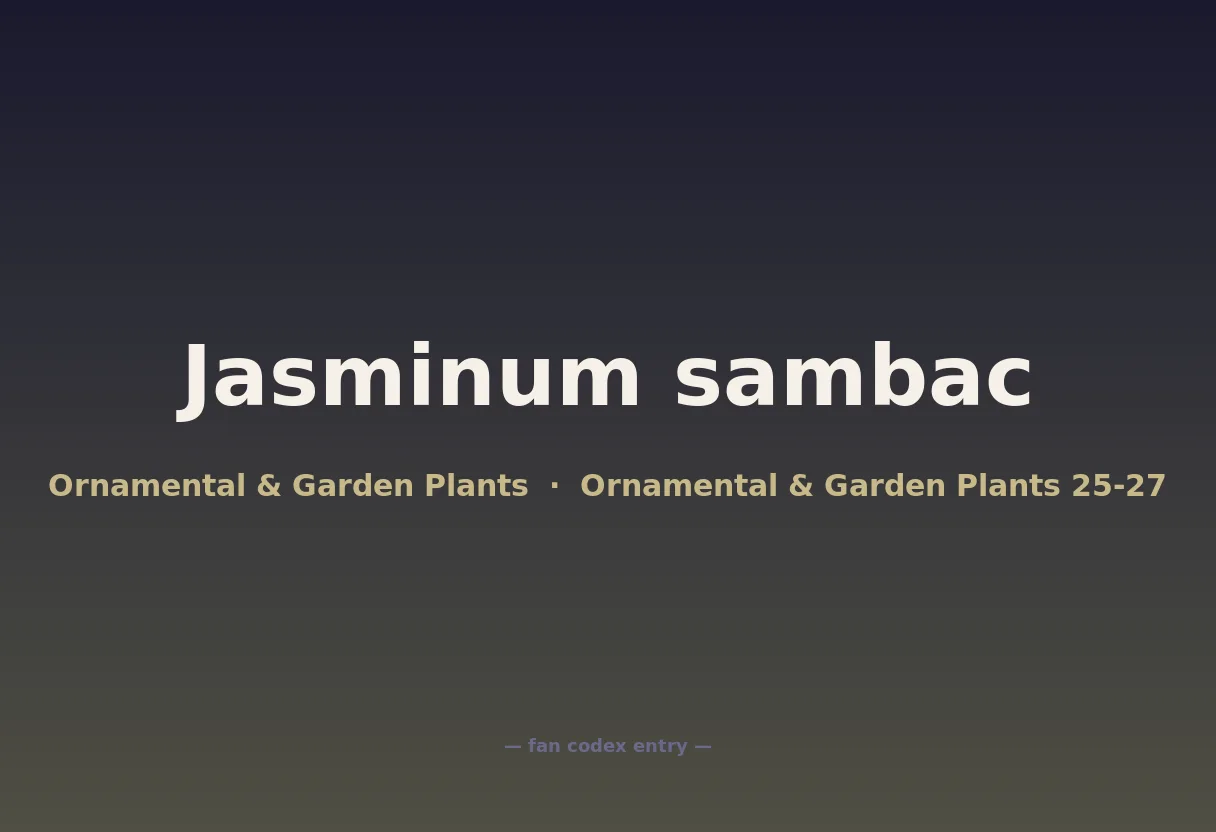 Jasminum sambac